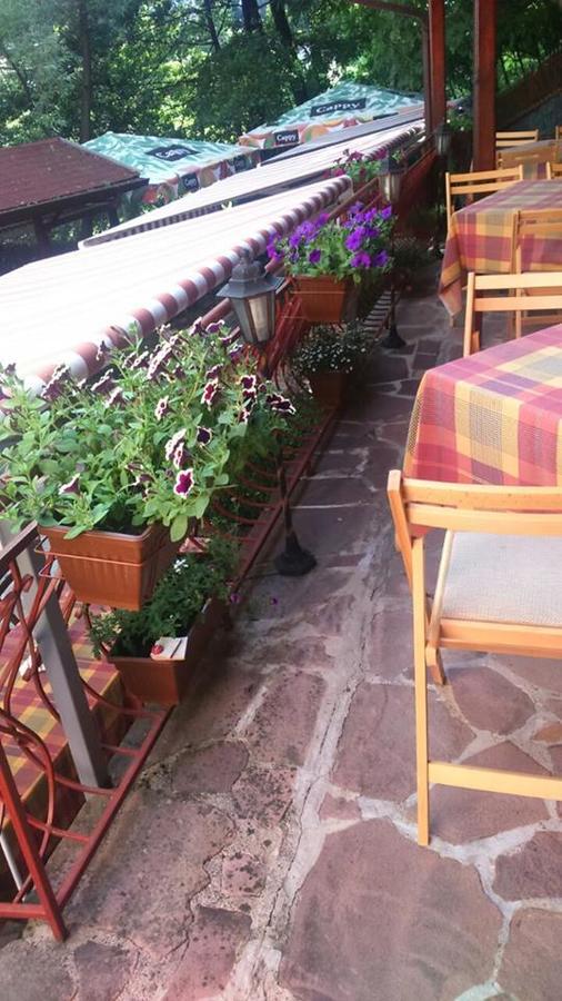 Hotel Restaurant Vodenitsata Berkovica Kültér fotó